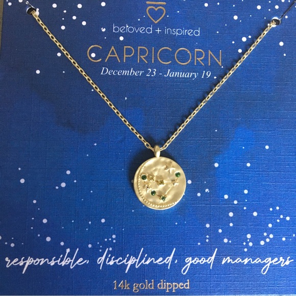 Capricorn 14k Gold Dipped* Zodiac Sign Gift Necklace - Picture 5 of 6